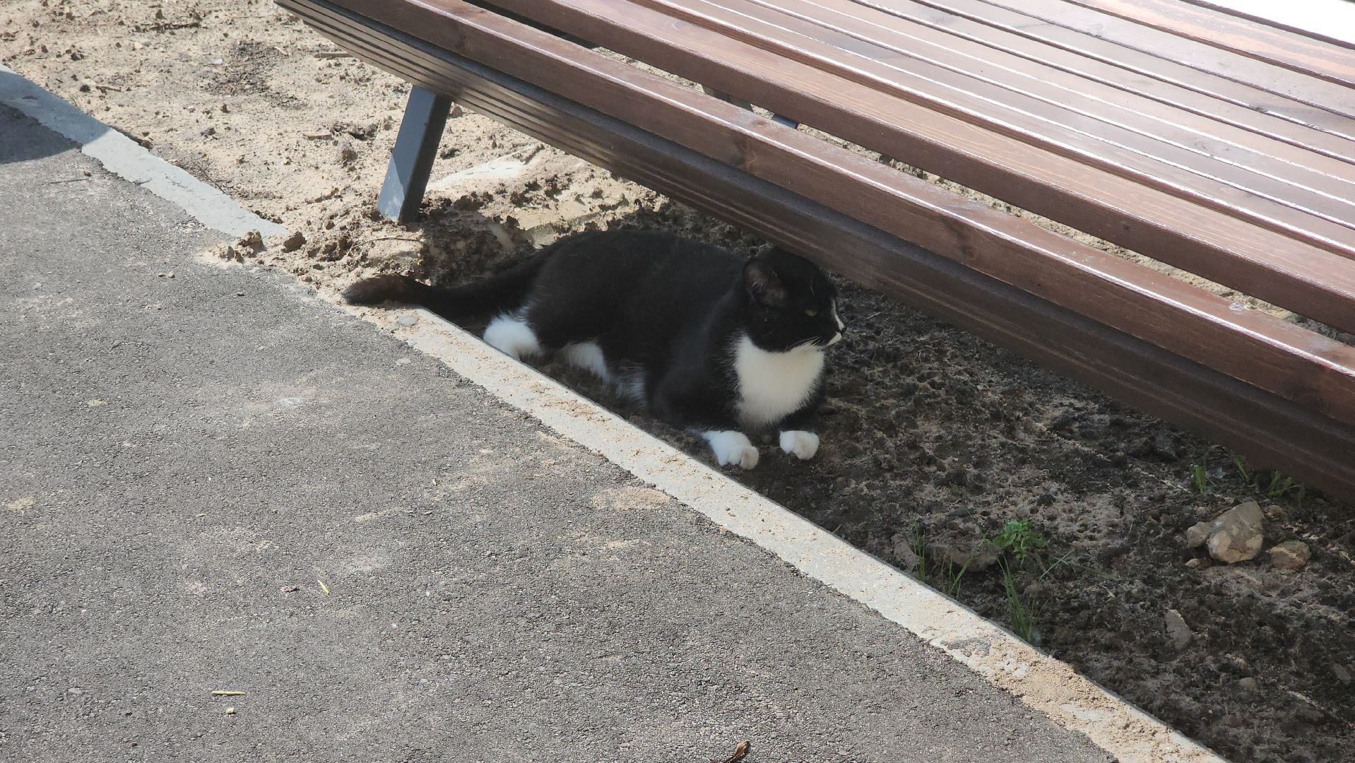 благоустройство дворов, орехово-зуевский округ, малая дубна,