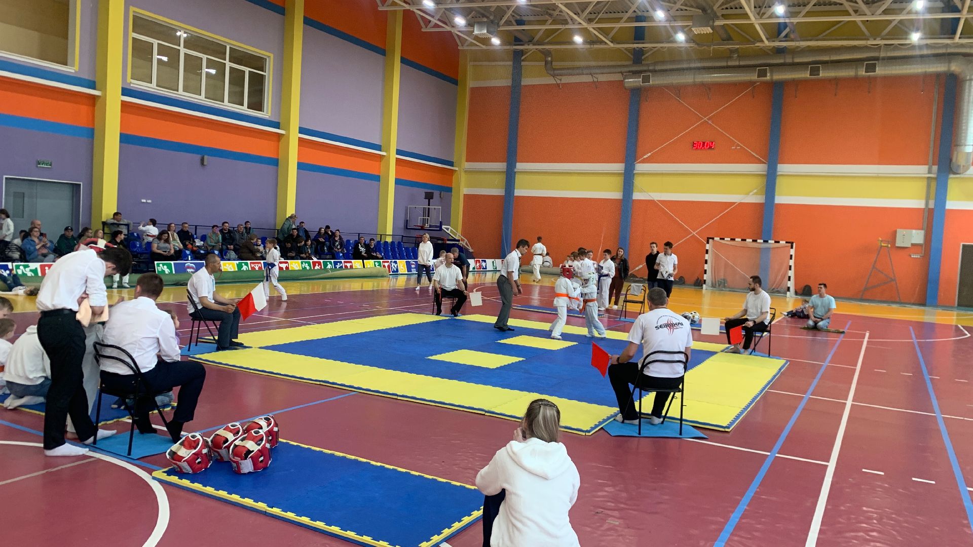 Ступино, карате, кёкушин