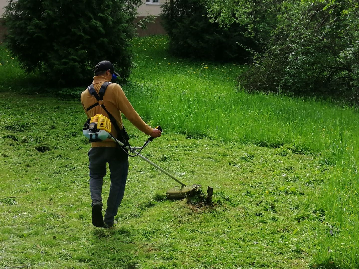 городской округ восход, благоустройство, жкх, покос травы,