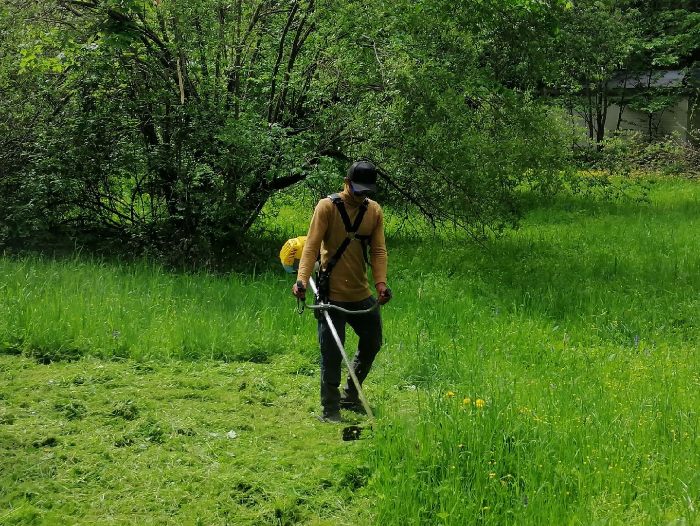 городской округ восход, благоустройство, жкх, покос травы,