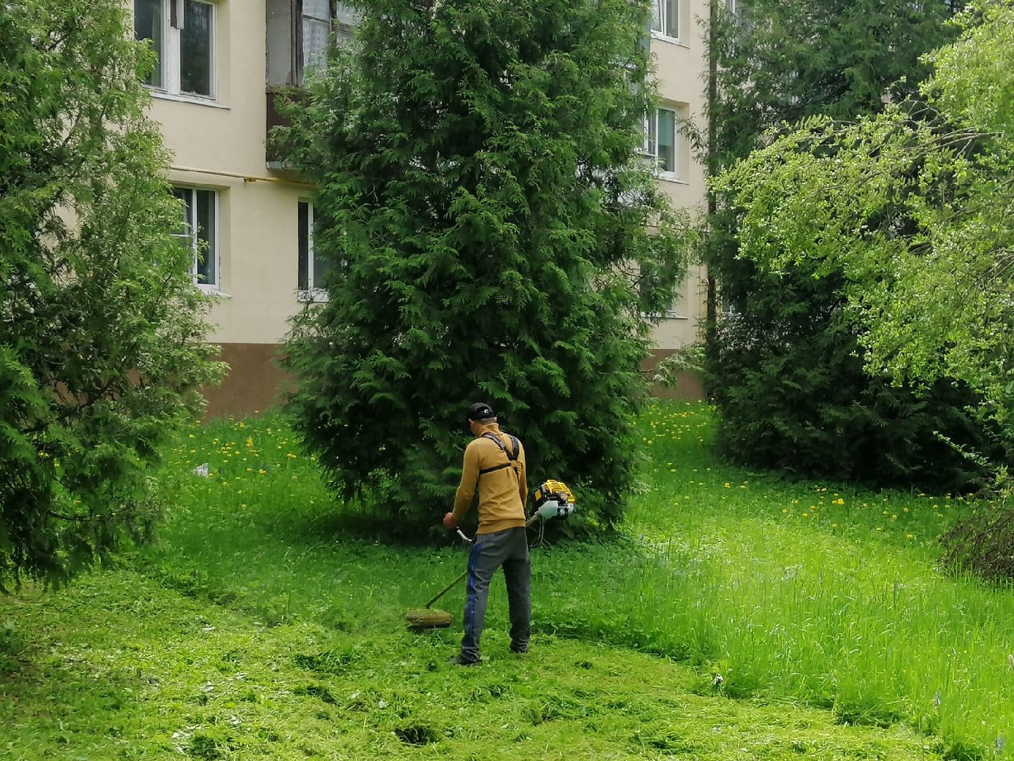 городской округ восход, благоустройство, жкх, покос травы,