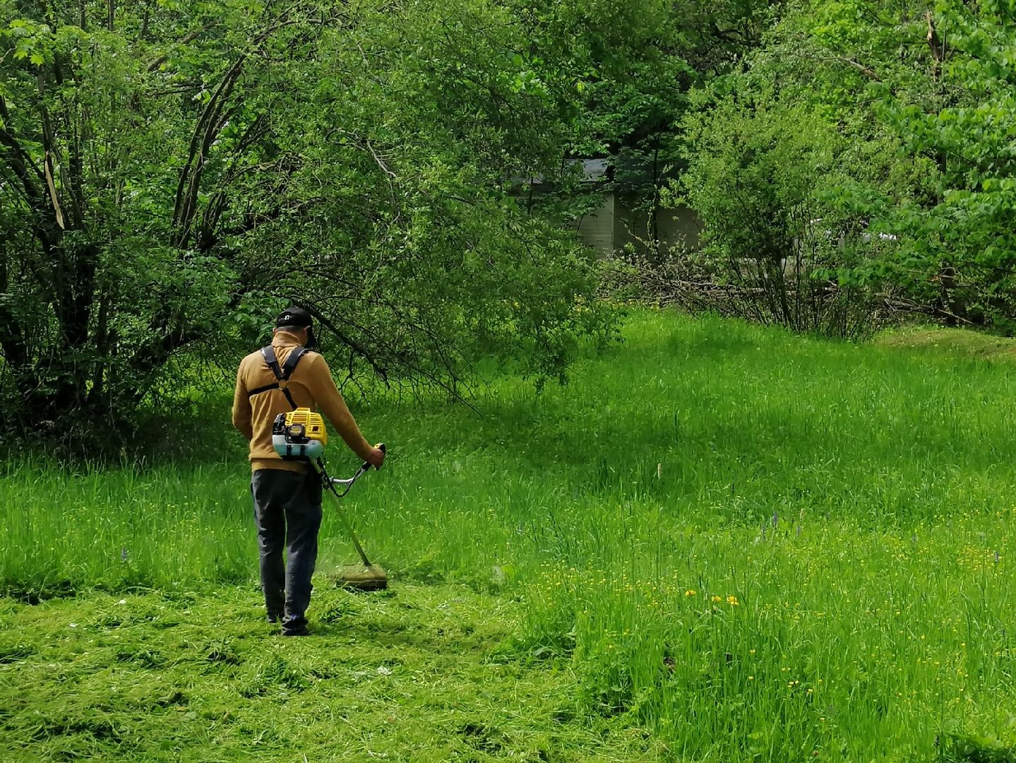 городской округ восход, благоустройство, жкх, покос травы,