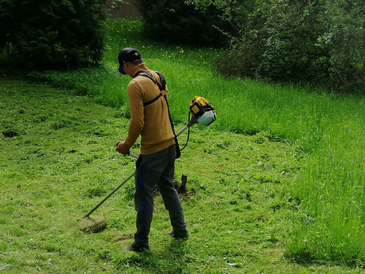 городской округ восход, благоустройство, жкх, покос травы,