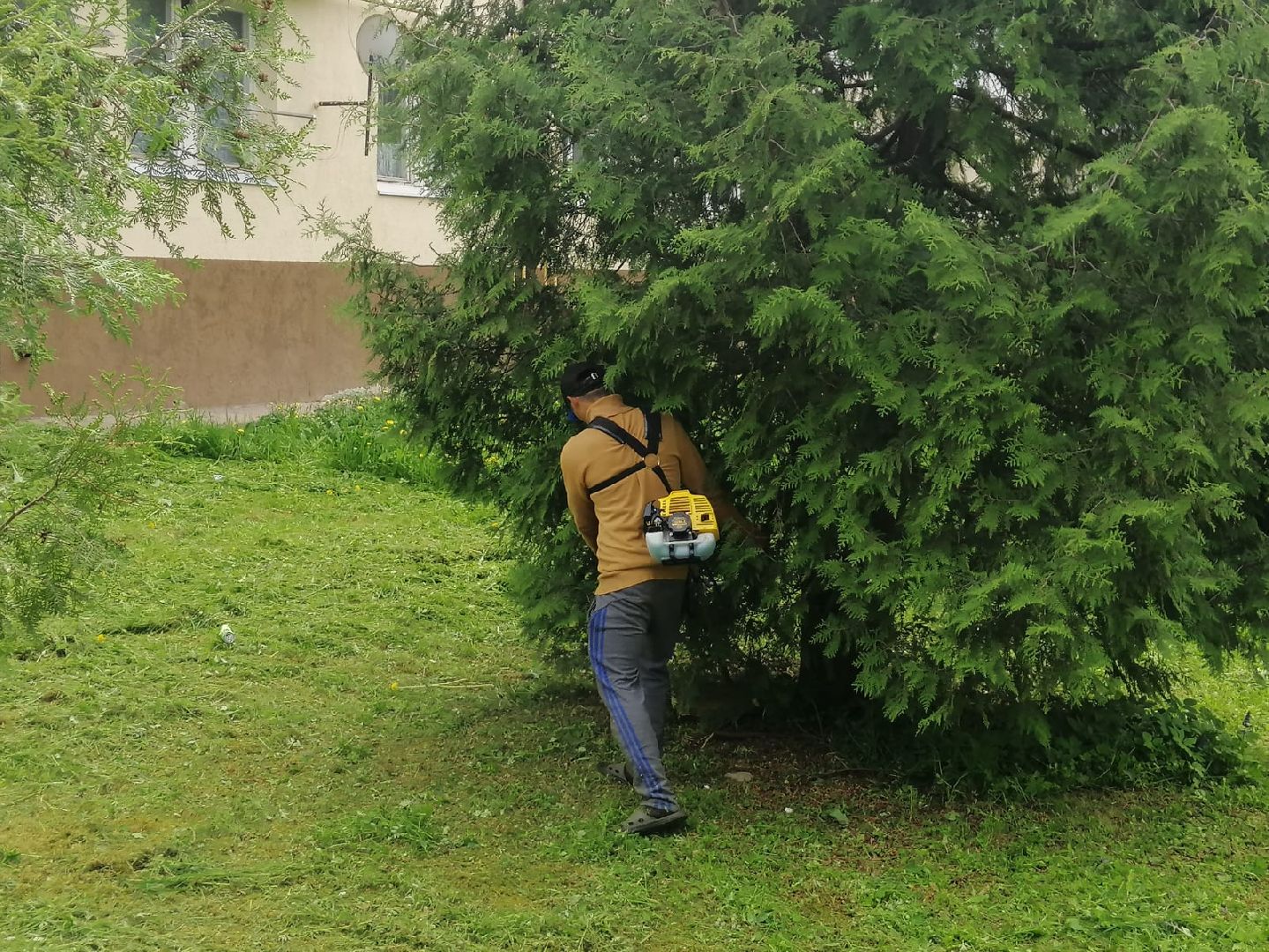 городской округ восход, благоустройство, жкх, покос травы,