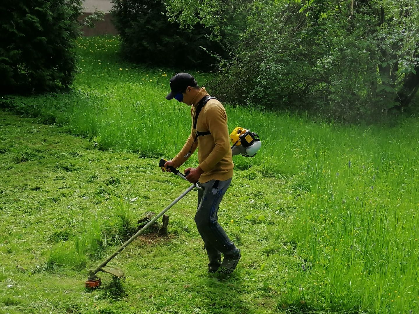 городской округ восход, благоустройство, жкх, покос травы,