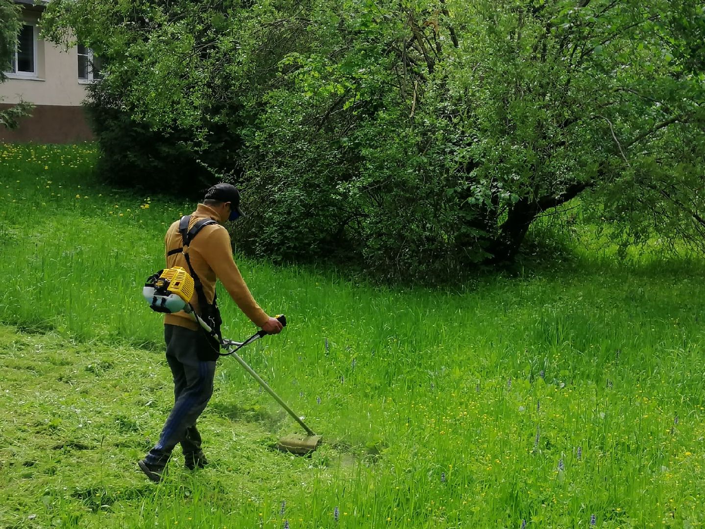 городской округ восход, благоустройство, жкх, покос травы,
