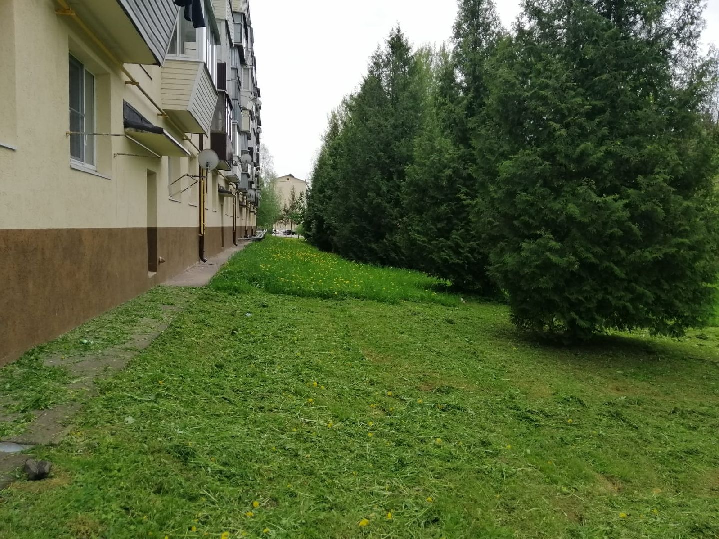 городской округ восход, благоустройство, жкх, покос травы,