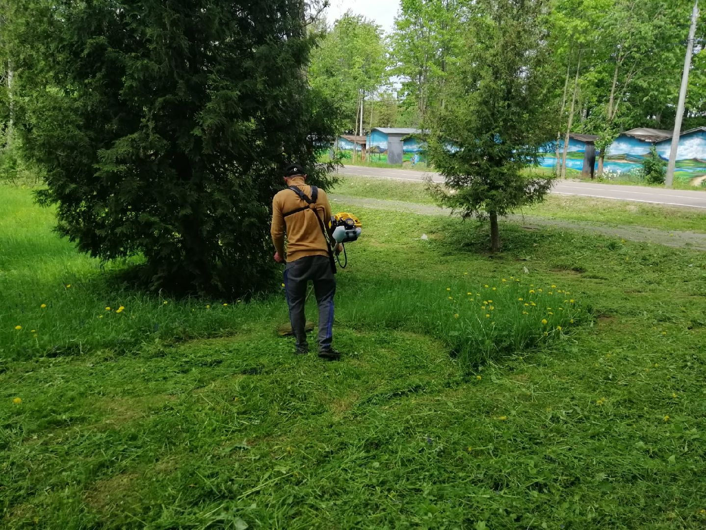 городской округ восход, благоустройство, жкх, покос травы,