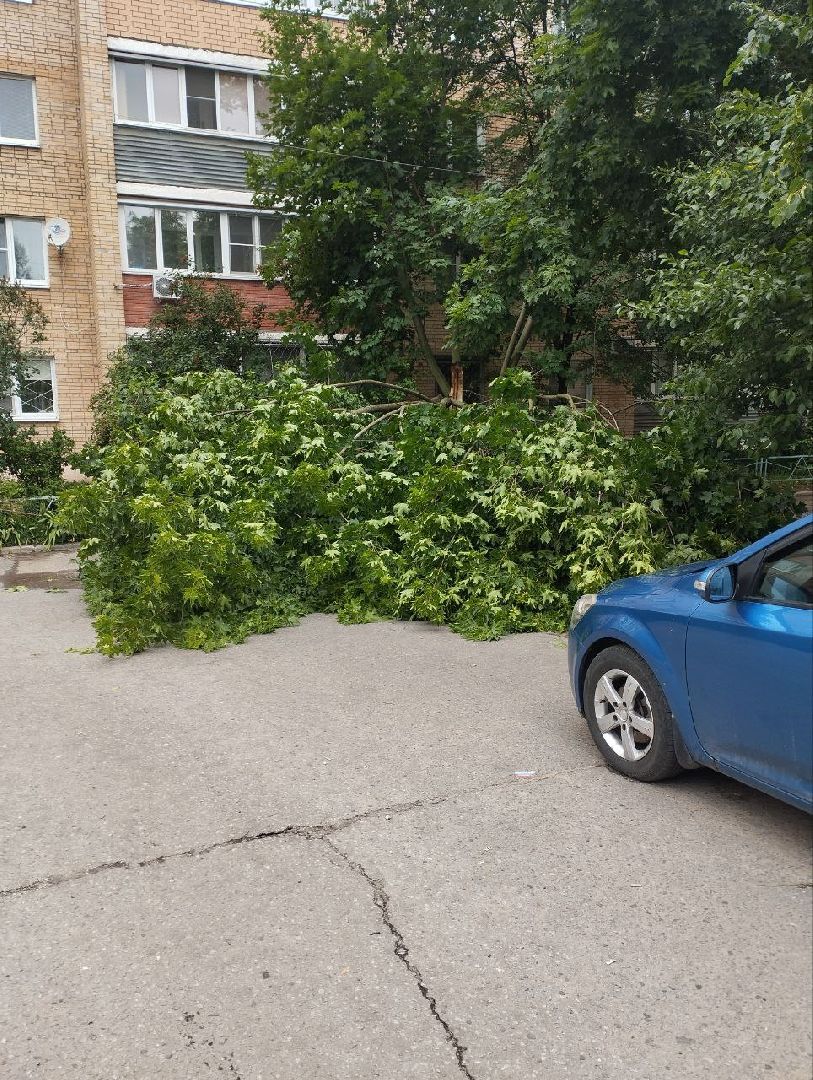 чехов, улица чехова, двор жилого дома, упавшее дерево, обрыв проводов, восстановление уличного освещения, опиловка деревьев, содержание придомовой территории, мбу чеховское благоустройство,   россети московский регион,