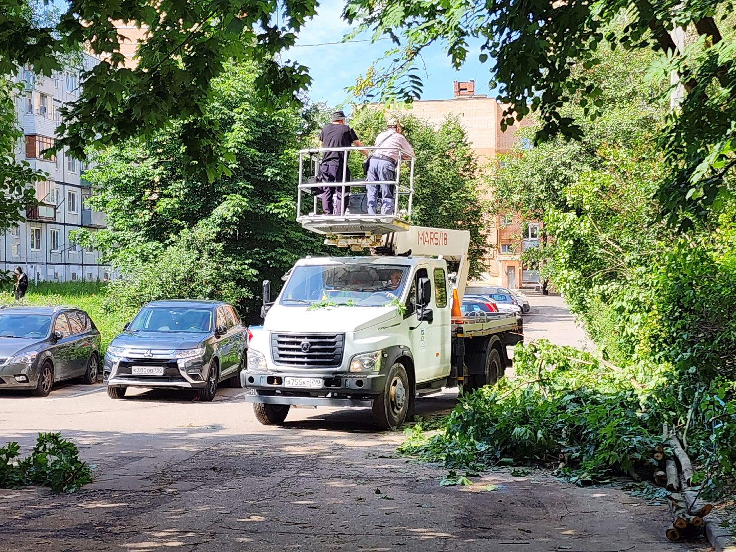 чехов, улица чехова, двор жилого дома, упавшее дерево, обрыв проводов, восстановление уличного освещения, опиловка деревьев, содержание придомовой территории, мбу чеховское благоустройство,   россети московский регион,