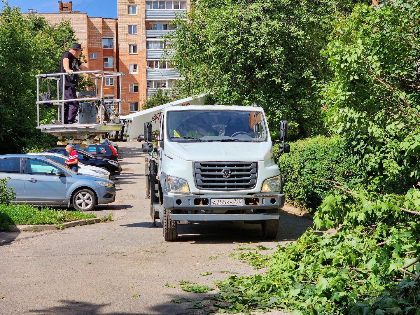 чехов, улица чехова, двор жилого дома, упавшее дерево, обрыв проводов, восстановление уличного освещения, опиловка деревьев, содержание придомовой территории, мбу чеховское благоустройство,   россети московский регион,