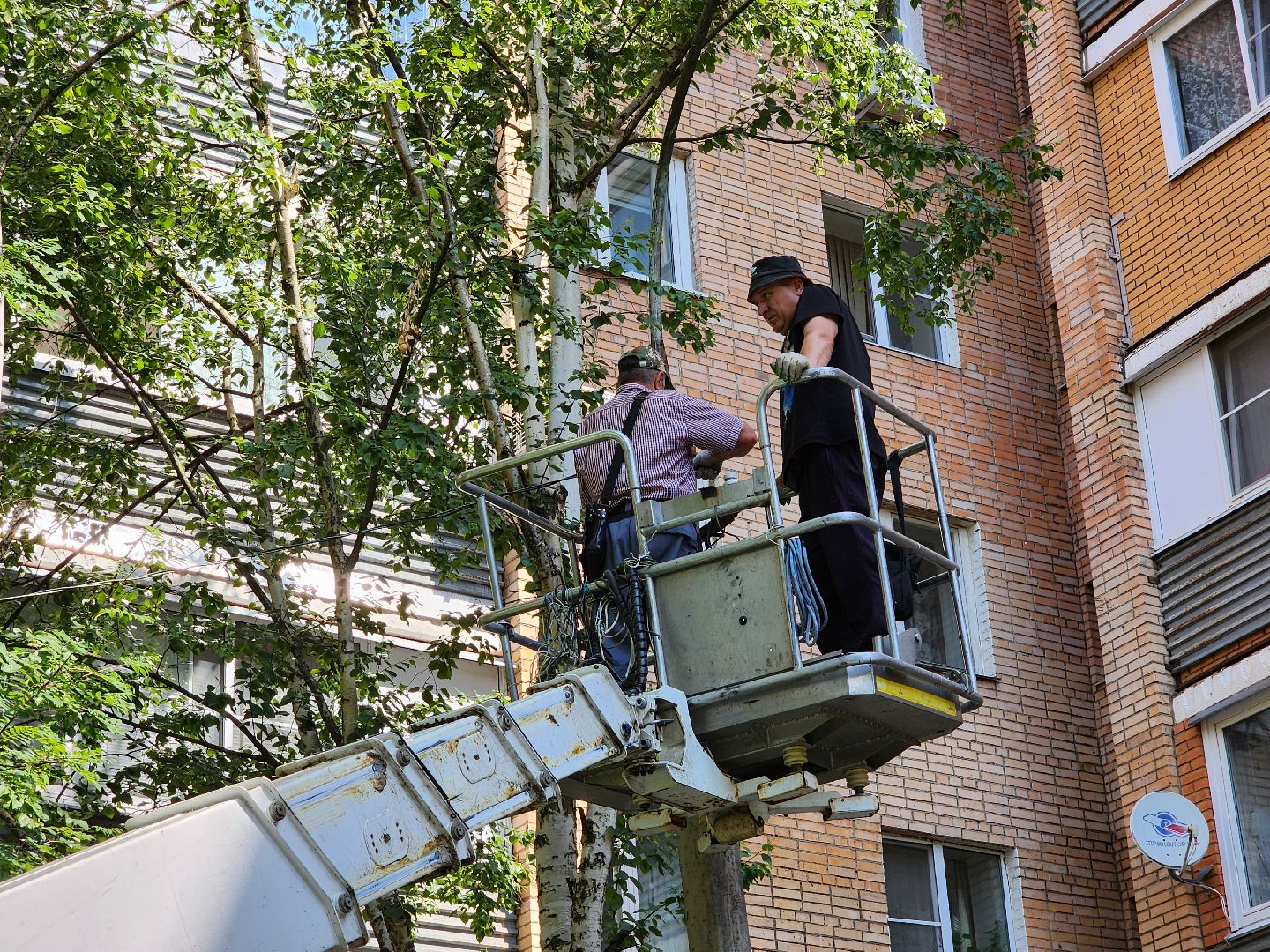 чехов, улица чехова, двор жилого дома, упавшее дерево, обрыв проводов, восстановление уличного освещения, опиловка деревьев, содержание придомовой территории, мбу чеховское благоустройство,   россети московский регион,