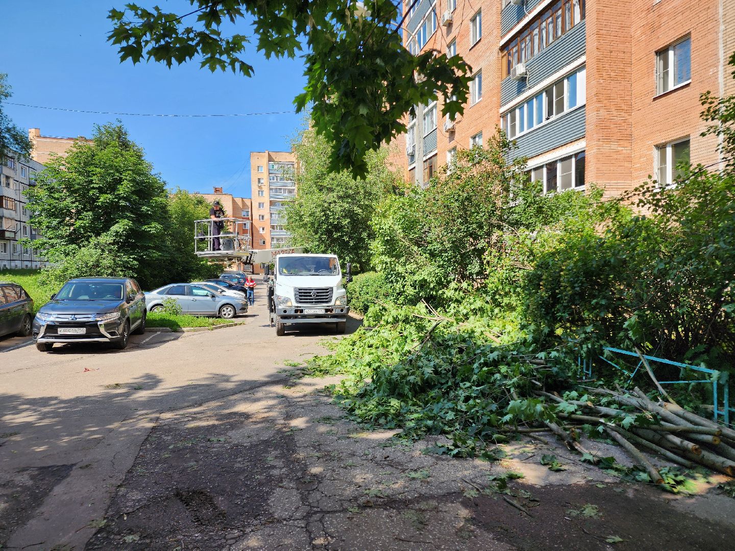 чехов, улица чехова, двор жилого дома, упавшее дерево, обрыв проводов, восстановление уличного освещения, опиловка деревьев, содержание придомовой территории, мбу чеховское благоустройство,   россети московский регион,