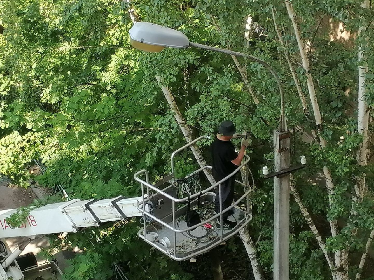 чехов, улица чехова, двор жилого дома, упавшее дерево, обрыв проводов, восстановление уличного освещения, опиловка деревьев, содержание придомовой территории, мбу чеховское благоустройство,   россети московский регион,