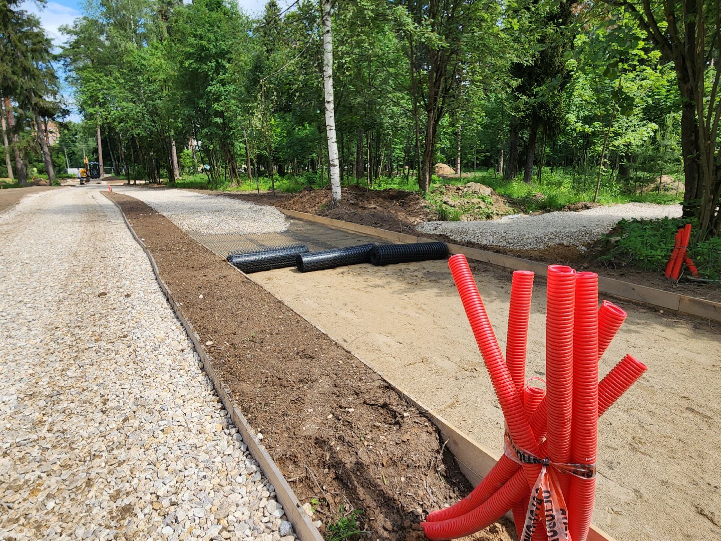 красноармейск, городской округ пушкинский, банный лес, лесопарк,