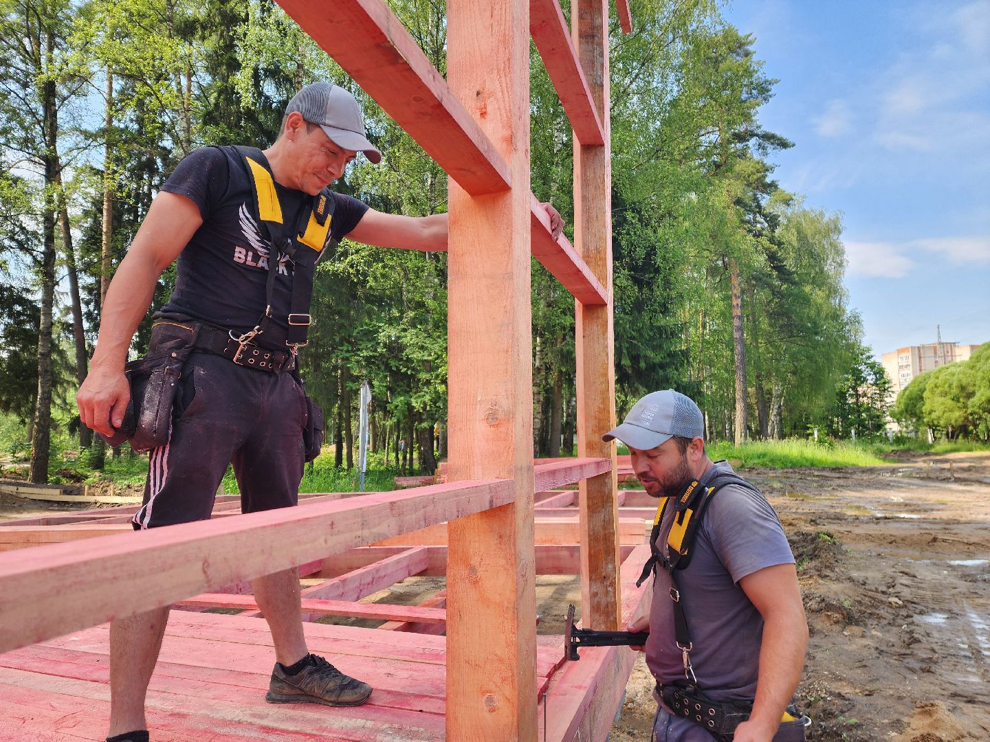 красноармейск, городской округ пушкинский, банный лес, лесопарк,
