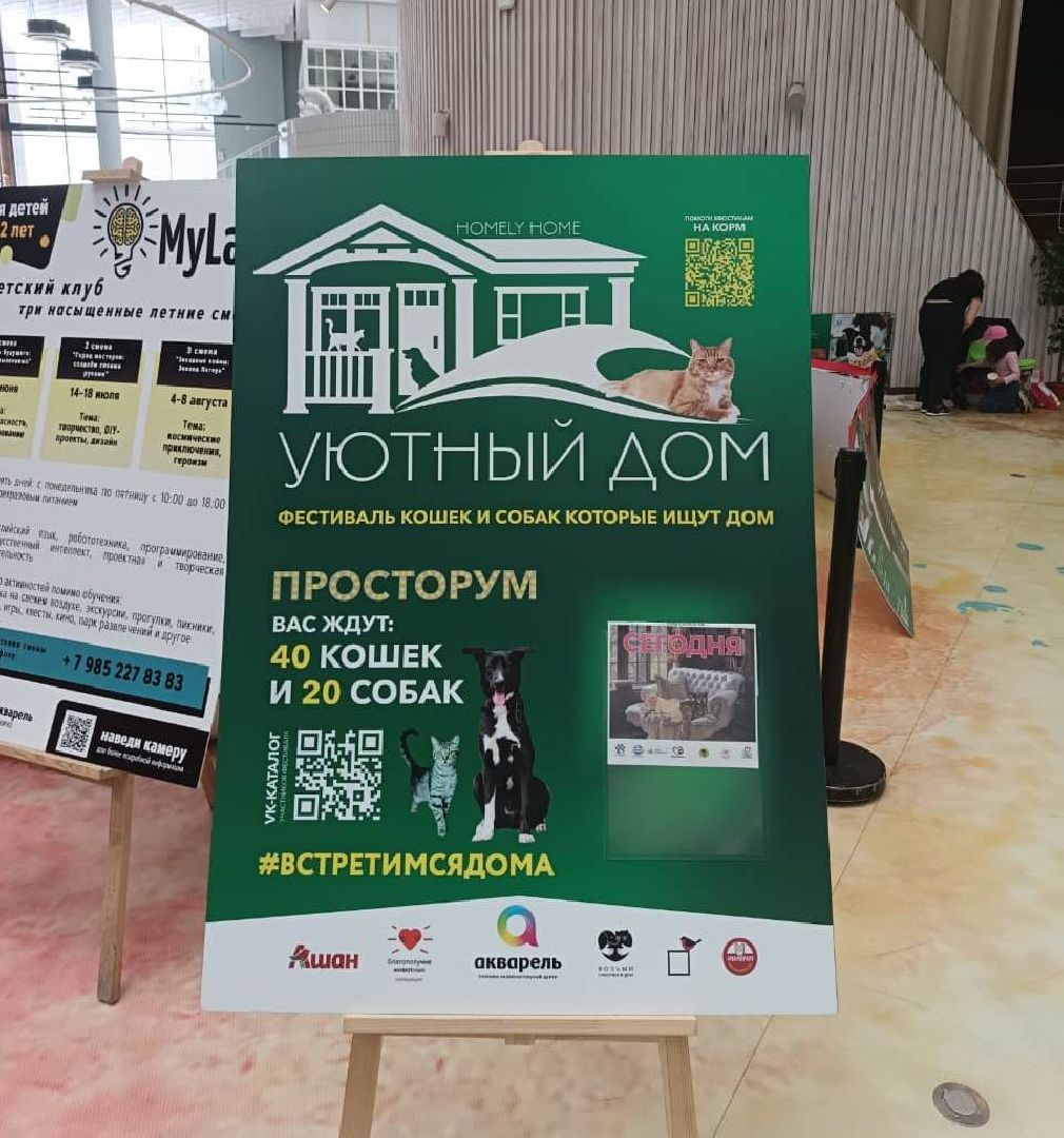 пушкино, акварель, бездомные животные, пристройство, волонтеры, кошки, собаки, помощь бездомным животным, питомцы, питомцы в добрые руки,