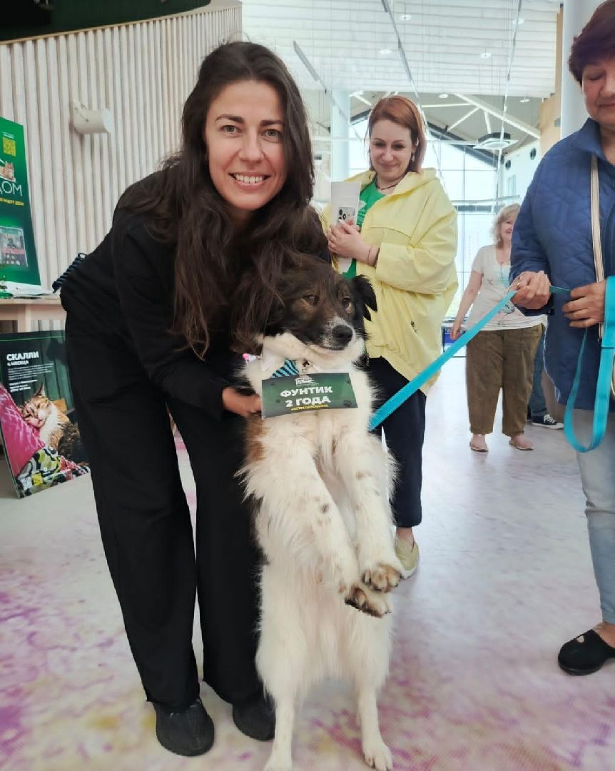 пушкино, акварель, бездомные животные, пристройство, волонтеры, кошки, собаки, помощь бездомным животным, питомцы, питомцы в добрые руки,