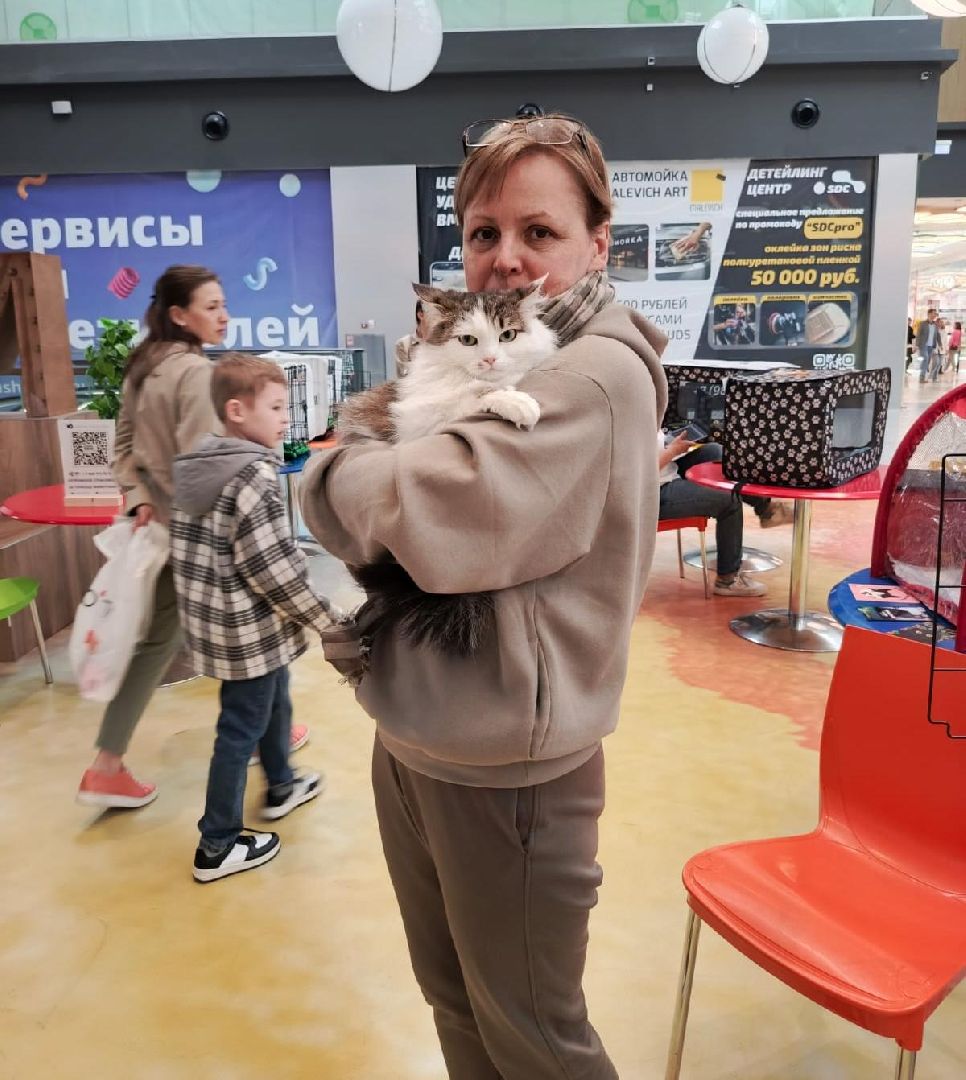 пушкино, акварель, бездомные животные, пристройство, волонтеры, кошки, собаки, помощь бездомным животным, питомцы, питомцы в добрые руки,