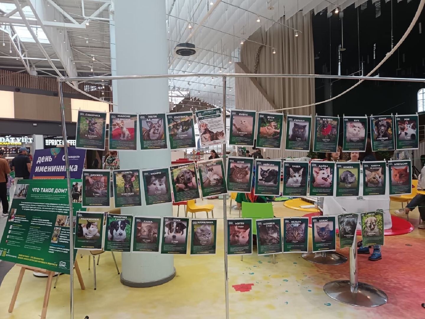 пушкино, акварель, бездомные животные, пристройство, волонтеры, кошки, собаки, помощь бездомным животным, питомцы, питомцы в добрые руки,