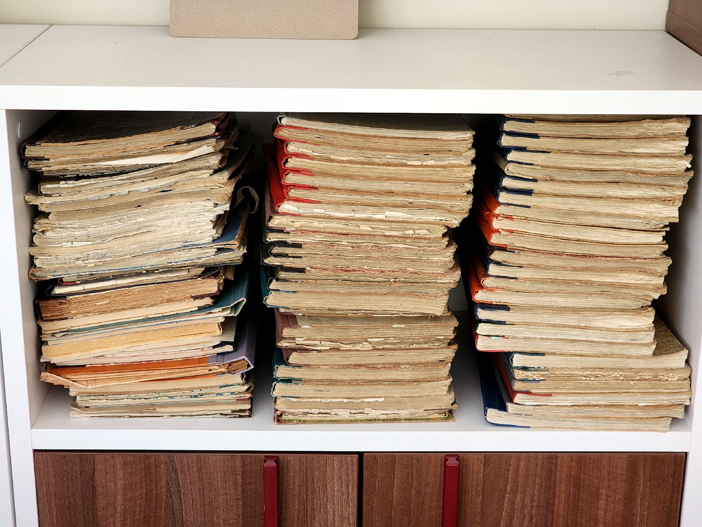 дубна, оияи, блохинка, архив,