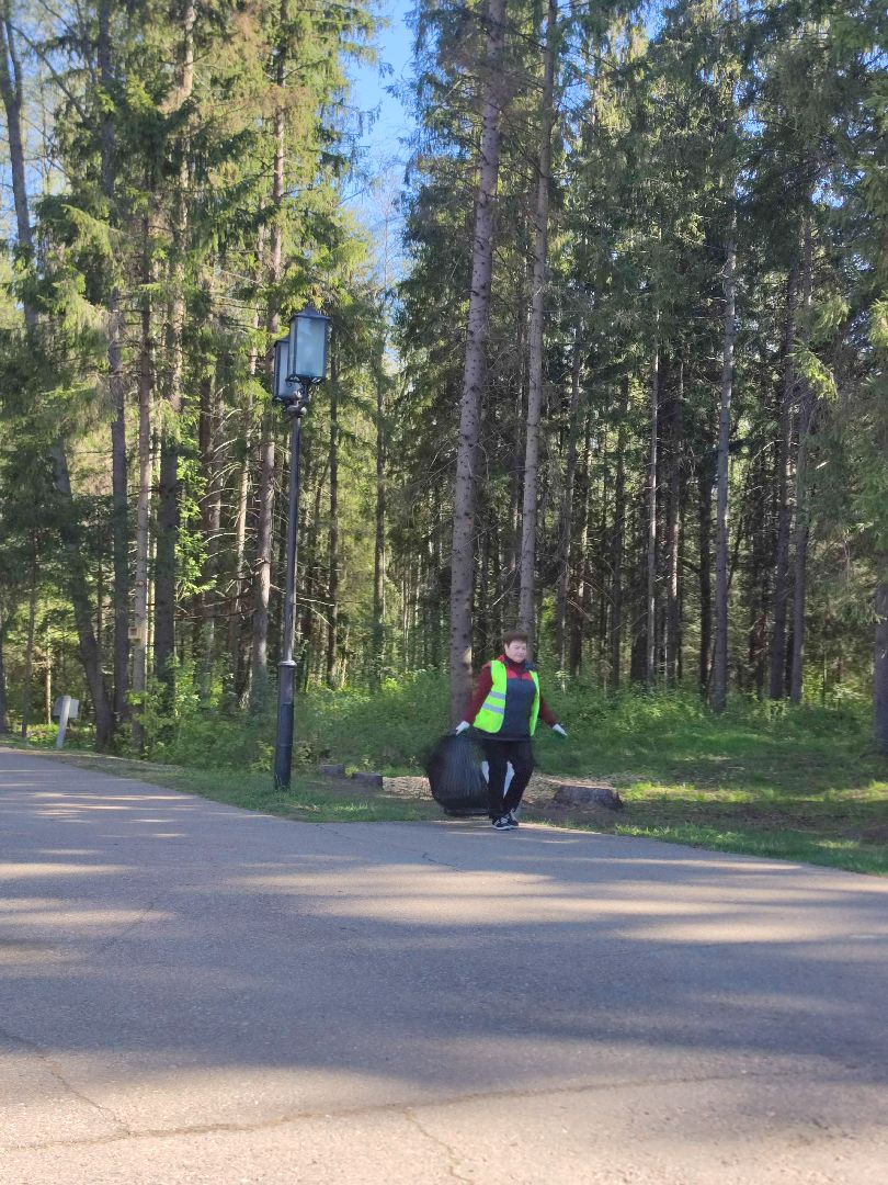Благоустройство, уборка, Дубна
