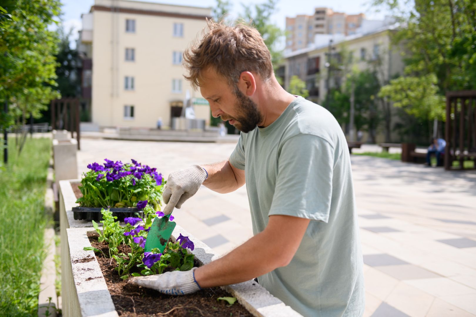 жкх, лыткарино, цветы, клумбы,
