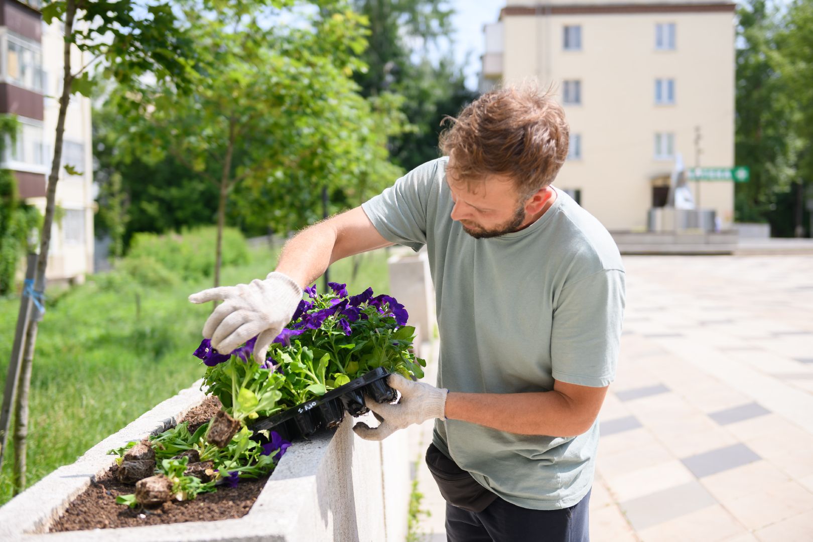 жкх, лыткарино, цветы, клумбы,