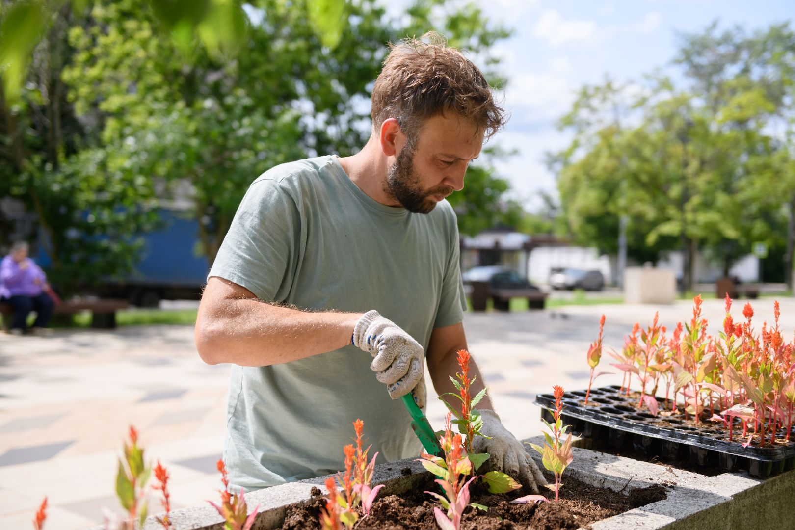 жкх, лыткарино, цветы, клумбы,