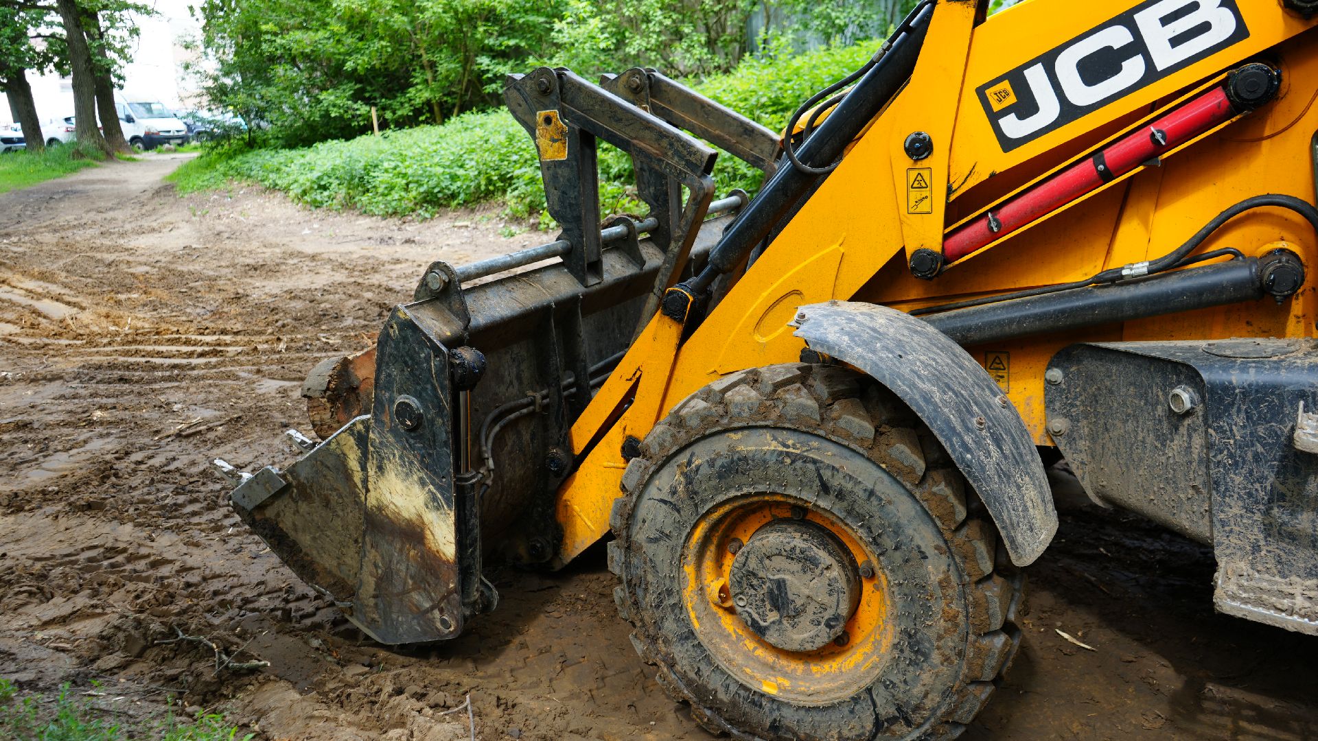 лес, томилинский лесопарк,