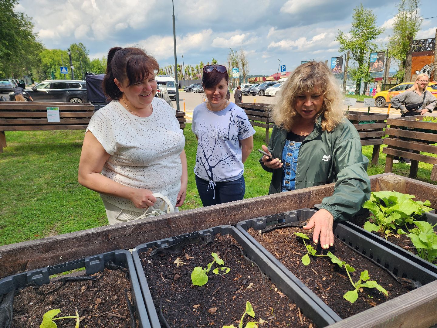 солнечногорск, лето, парк, растения , огород,