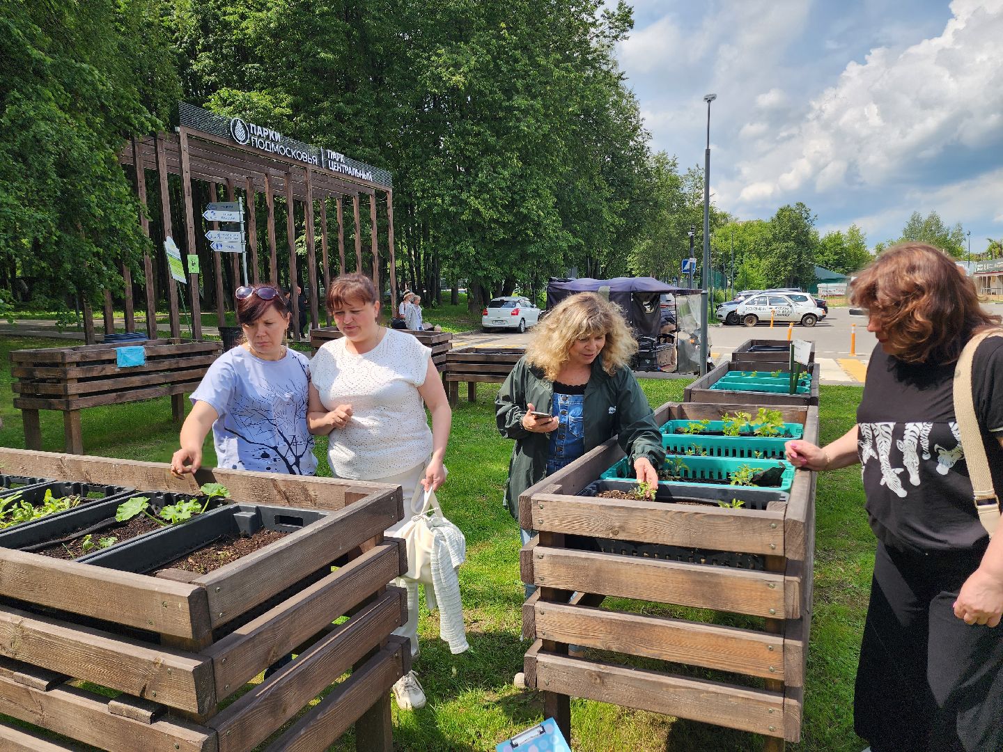 солнечногорск, лето, парк, растения , огород,