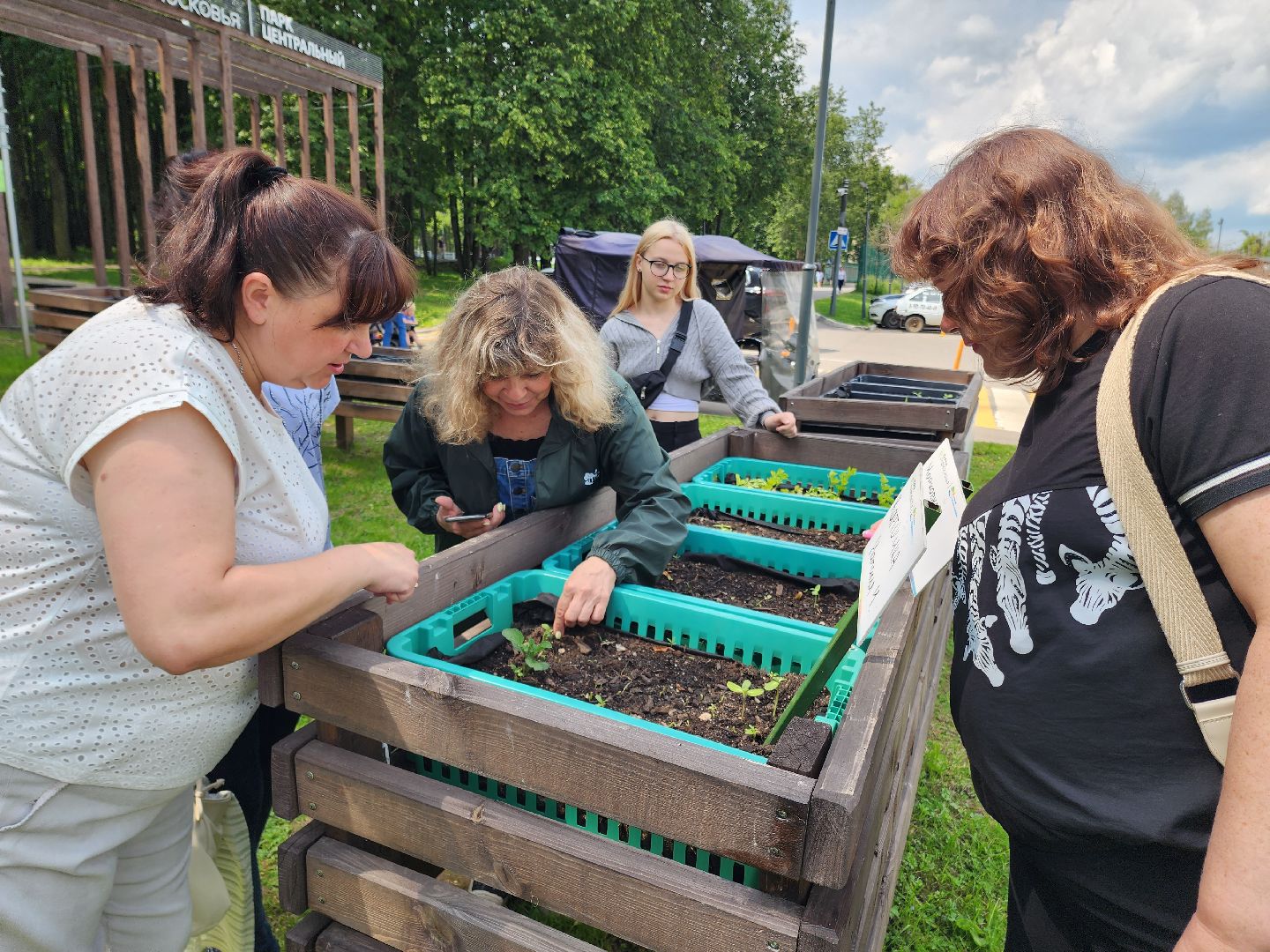 солнечногорск, лето, парк, растения , огород,