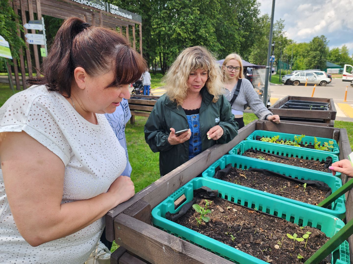 солнечногорск, лето, парк, растения , огород,