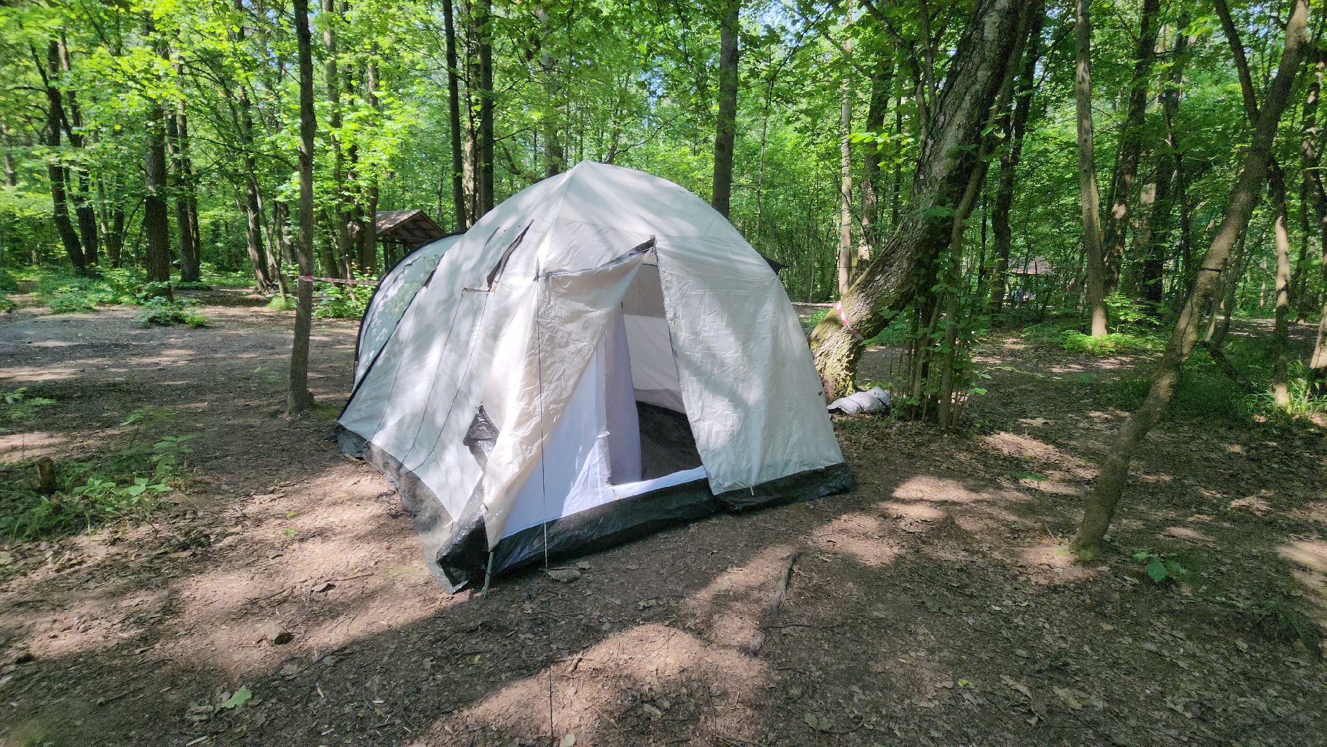 умные каникулы, красногорск, турслёт,