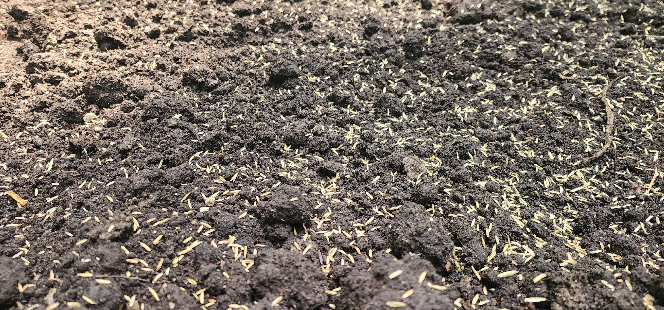 Химки, Парки, благоустройство 2023,