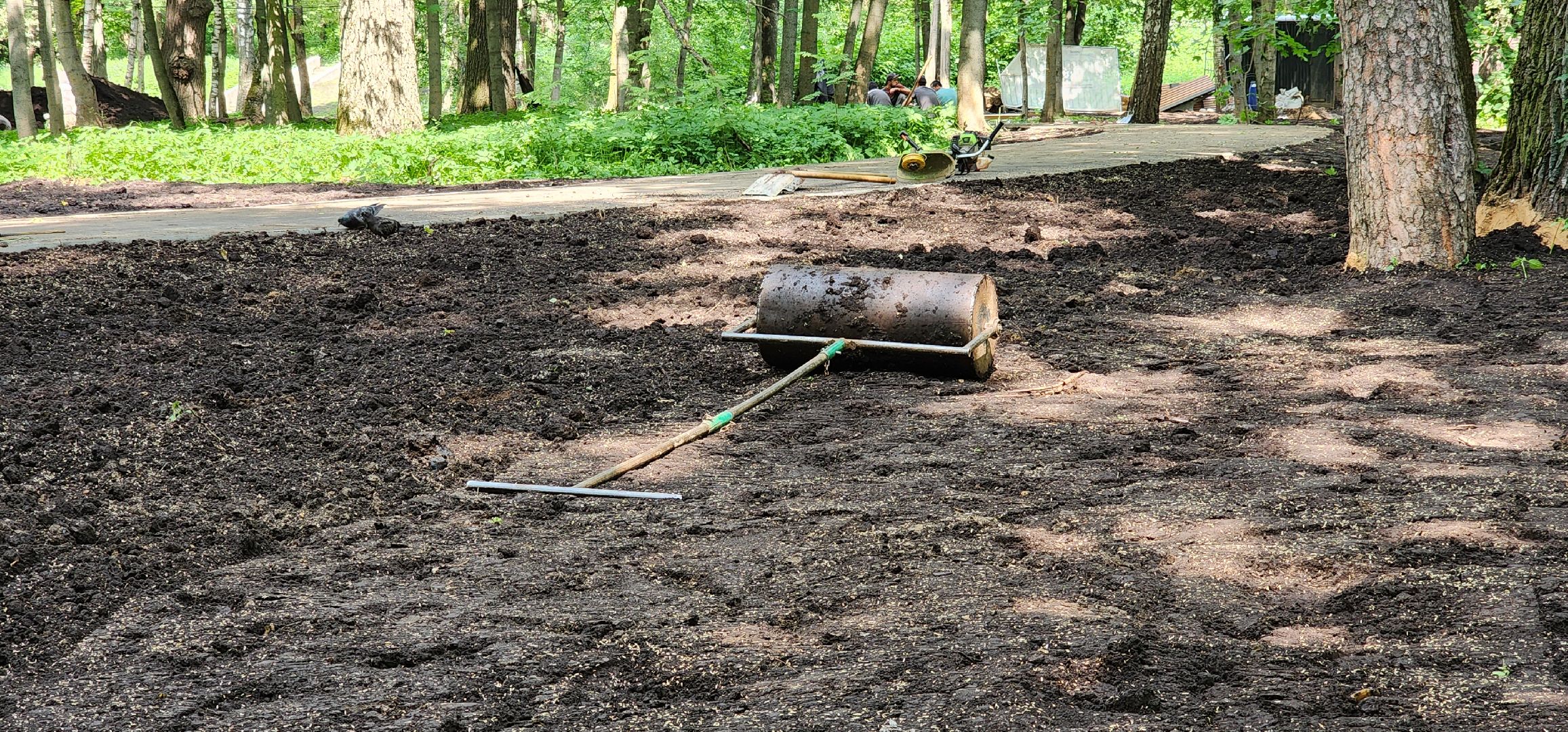 Химки, Парки, благоустройство 2023,