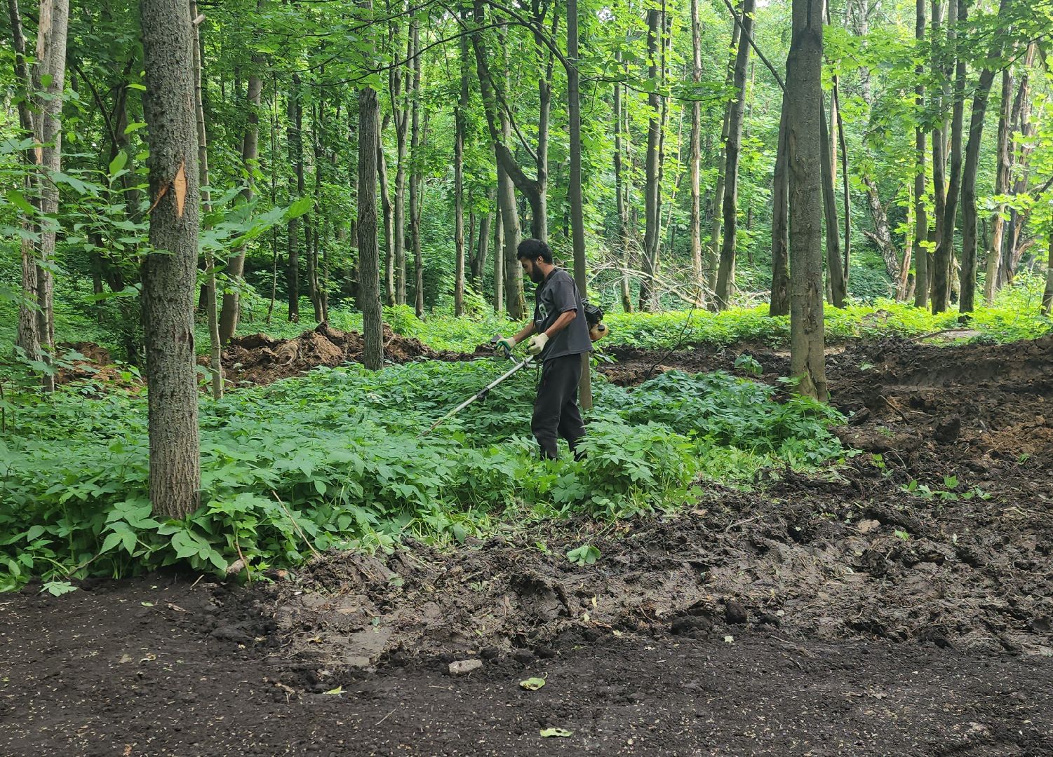 Химки, Парки, благоустройство 2023,