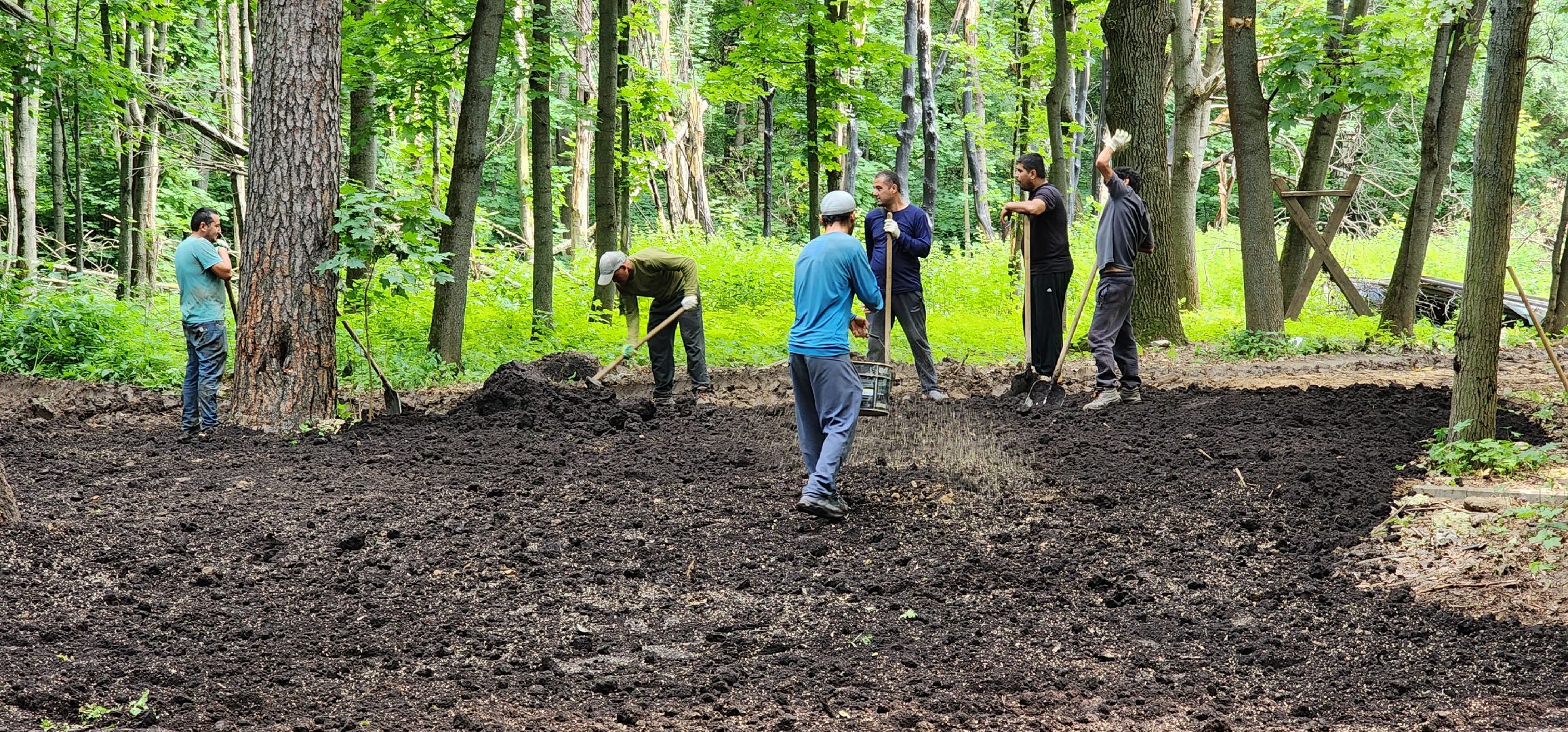 Химки, Парки, благоустройство 2023,
