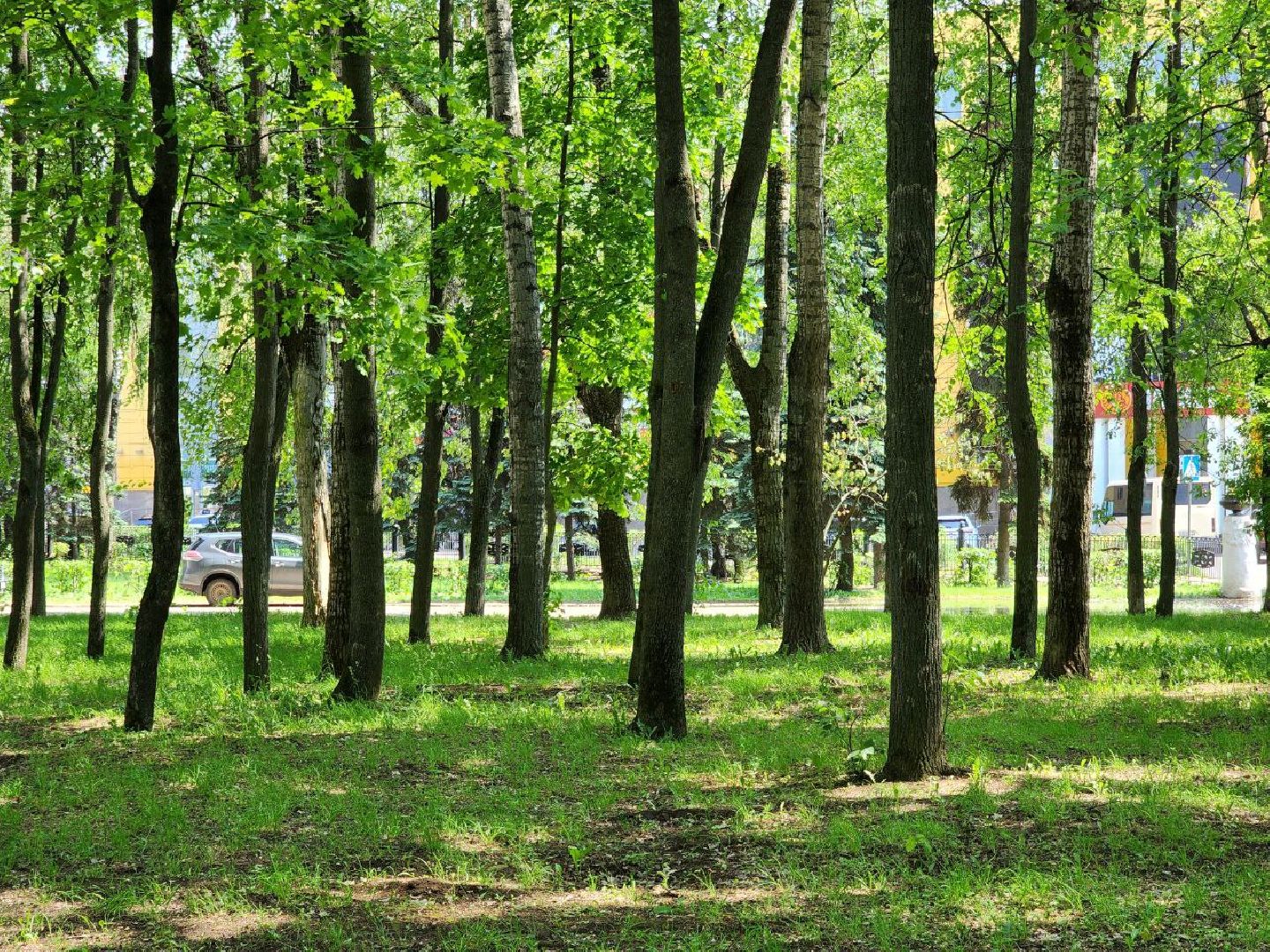 воскресенск, благоустройство, дворец культуры химик,