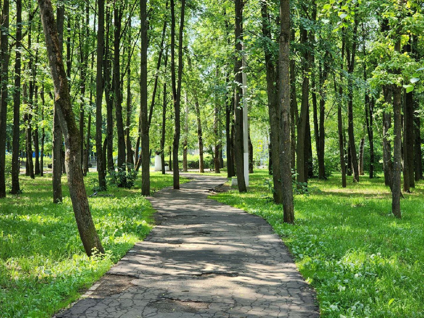 воскресенск, благоустройство, дворец культуры химик,