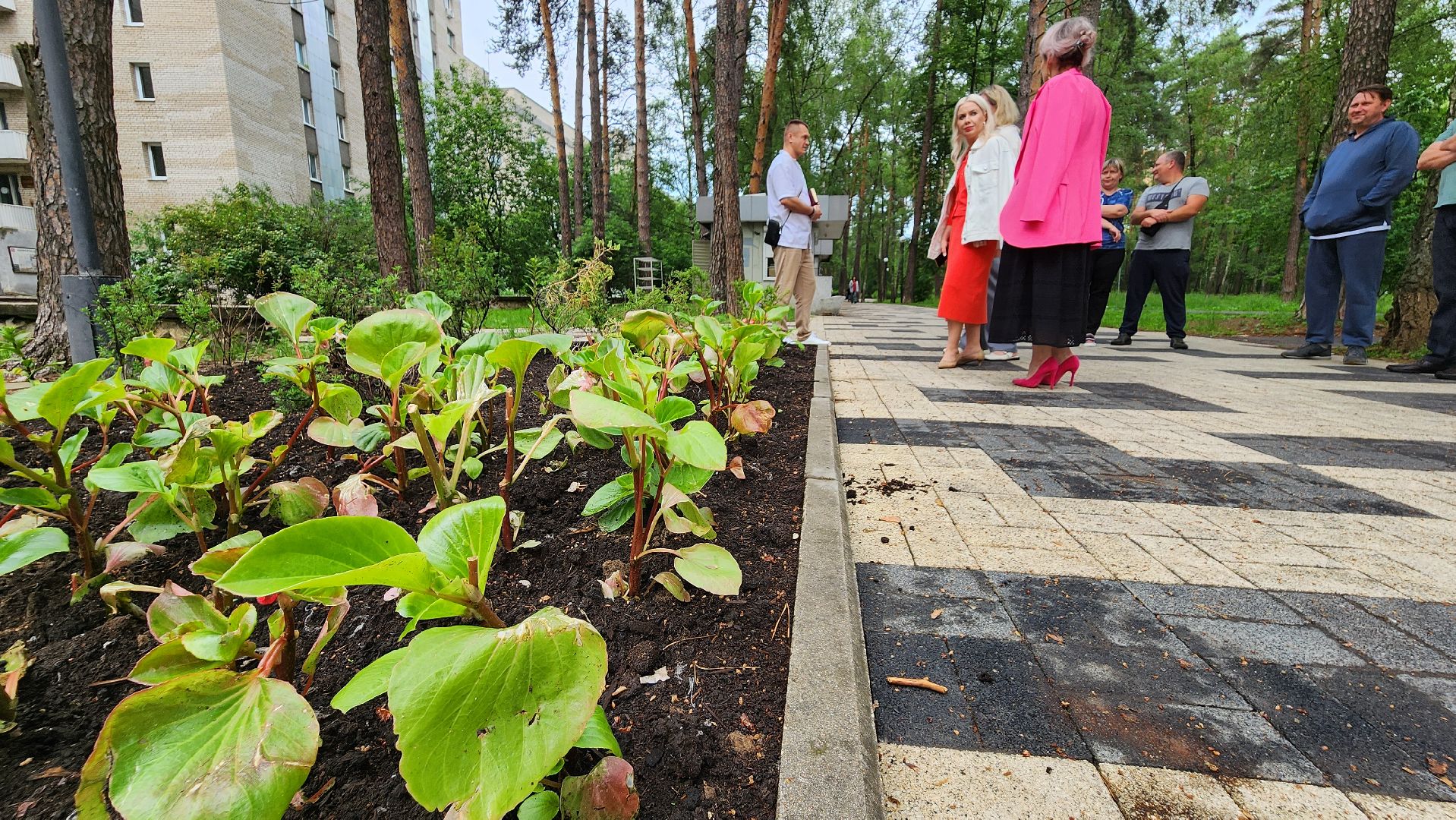 клумба, благоустройство, протвино,