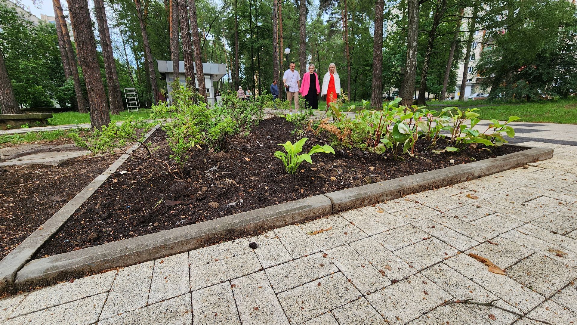 клумба, благоустройство, протвино,