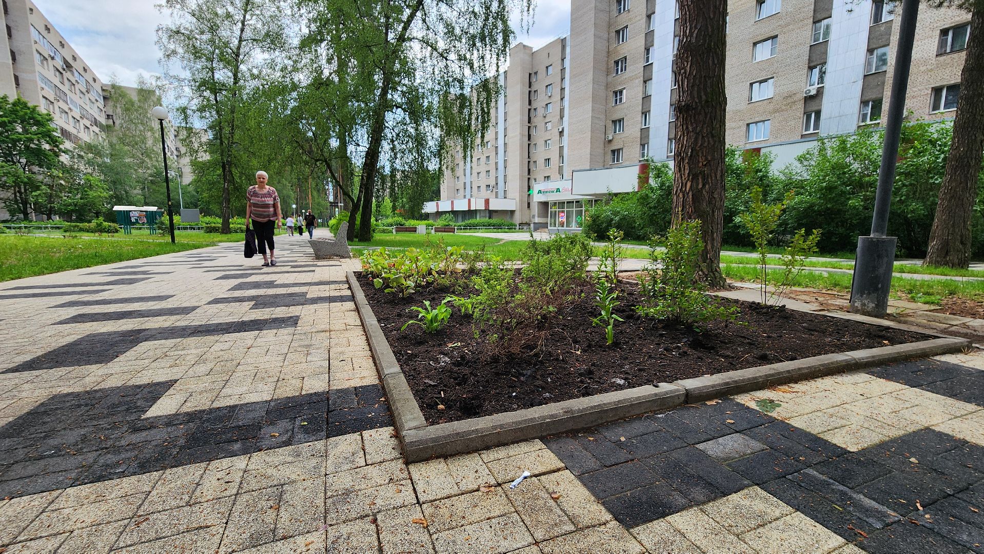 клумба, благоустройство, протвино,