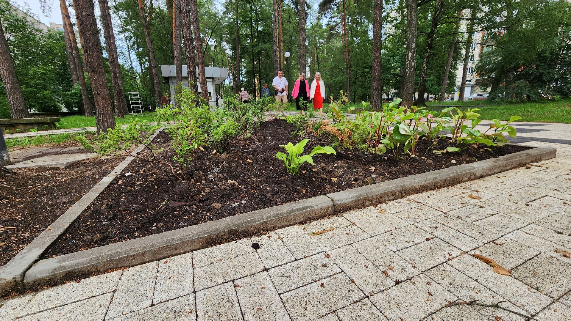 клумба, благоустройство, протвино,