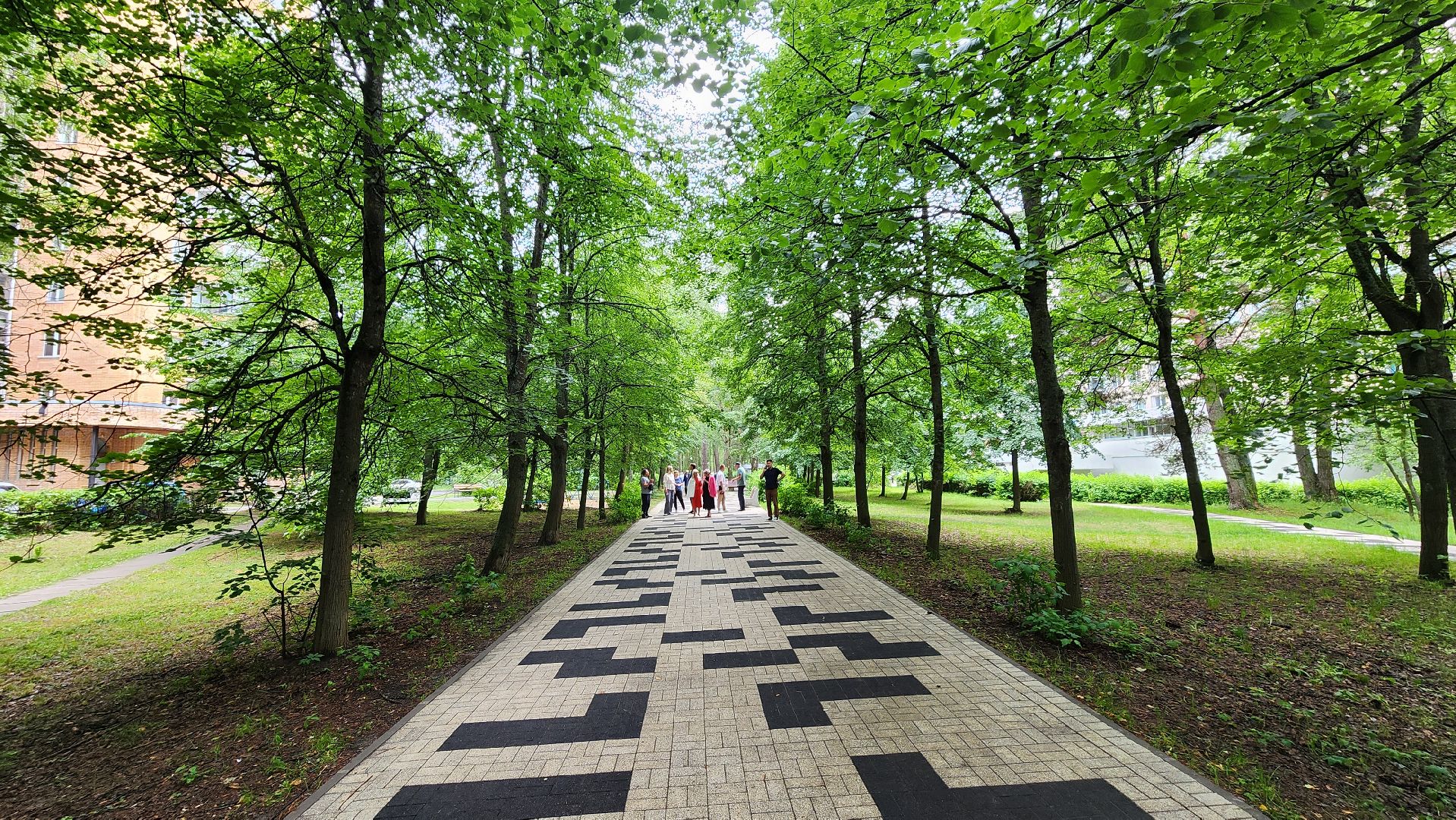 клумба, благоустройство, протвино,