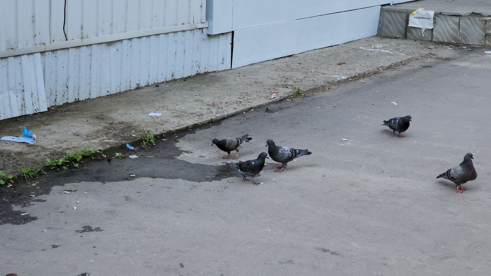 кашира, выездная администрация, жкх, канализация, инженерные системы, трубы,