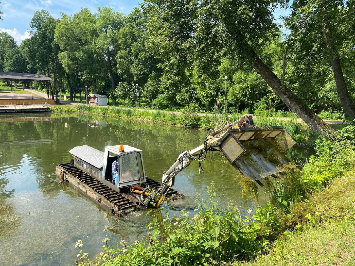 чехов, улица пушкина, городской парк, большой пруд, очистка пруда, очистка водоема, земснаряд боцман-м, уборка мусора и тины, удаление сухостоя, удаление аварийных деревьев, экология,