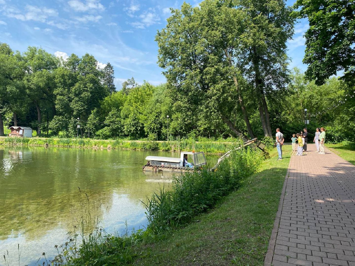 чехов, улица пушкина, городской парк, большой пруд, очистка пруда, очистка водоема, земснаряд боцман-м, уборка мусора и тины, удаление сухостоя, удаление аварийных деревьев, экология,