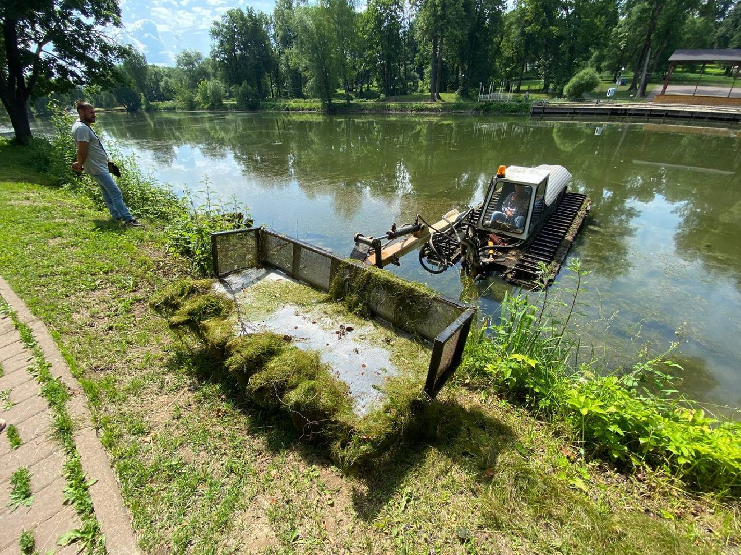 чехов, улица пушкина, городской парк, большой пруд, очистка пруда, очистка водоема, земснаряд боцман-м, уборка мусора и тины, удаление сухостоя, удаление аварийных деревьев, экология,